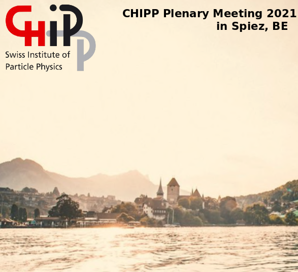 CHIPP meeting in Spiez