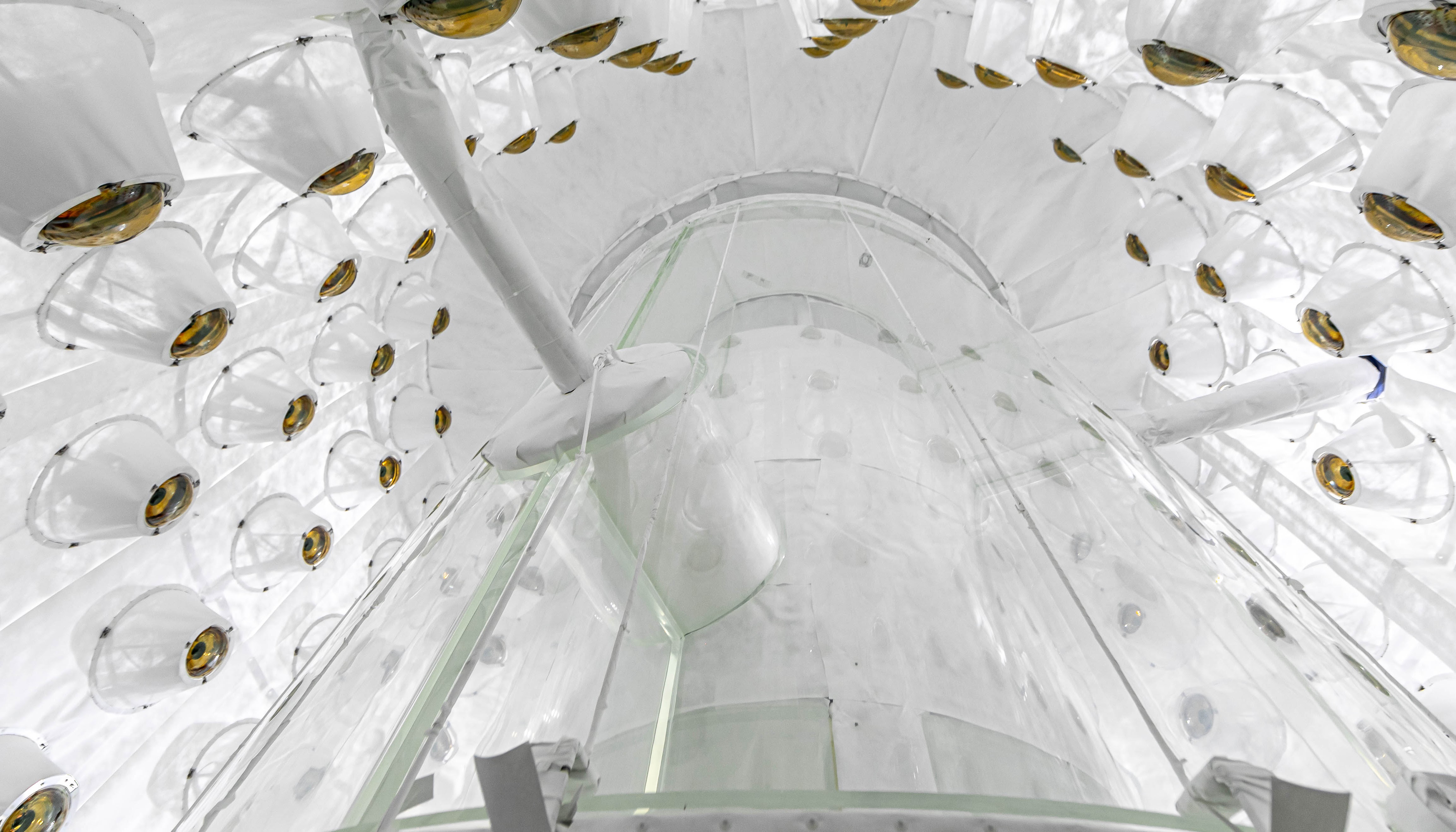 LZ's outer detector. The system was designed and fabricated by the Penning group