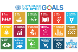 Sustainability goals