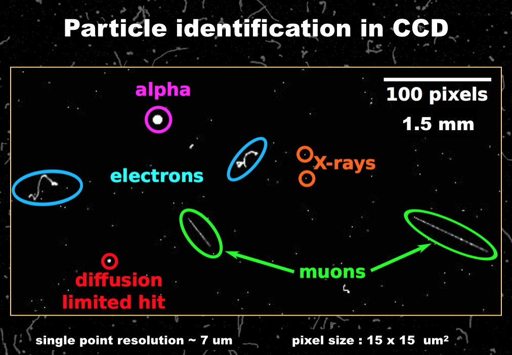 Particle Identification in CCDs