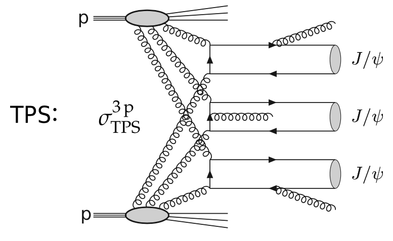 Figure CMS 1