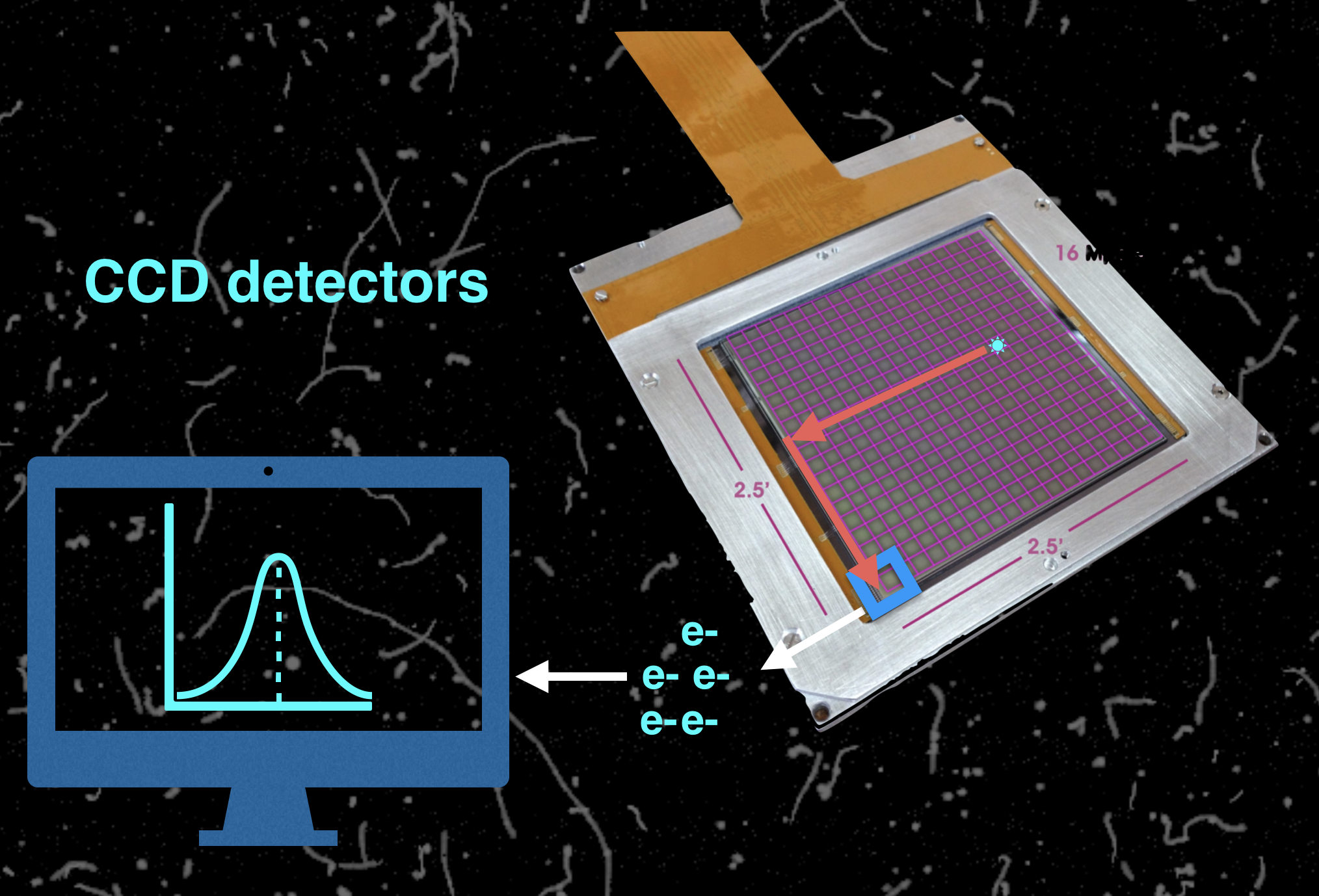 CCD detectors