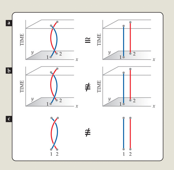 _images/interactingbraiding.gif