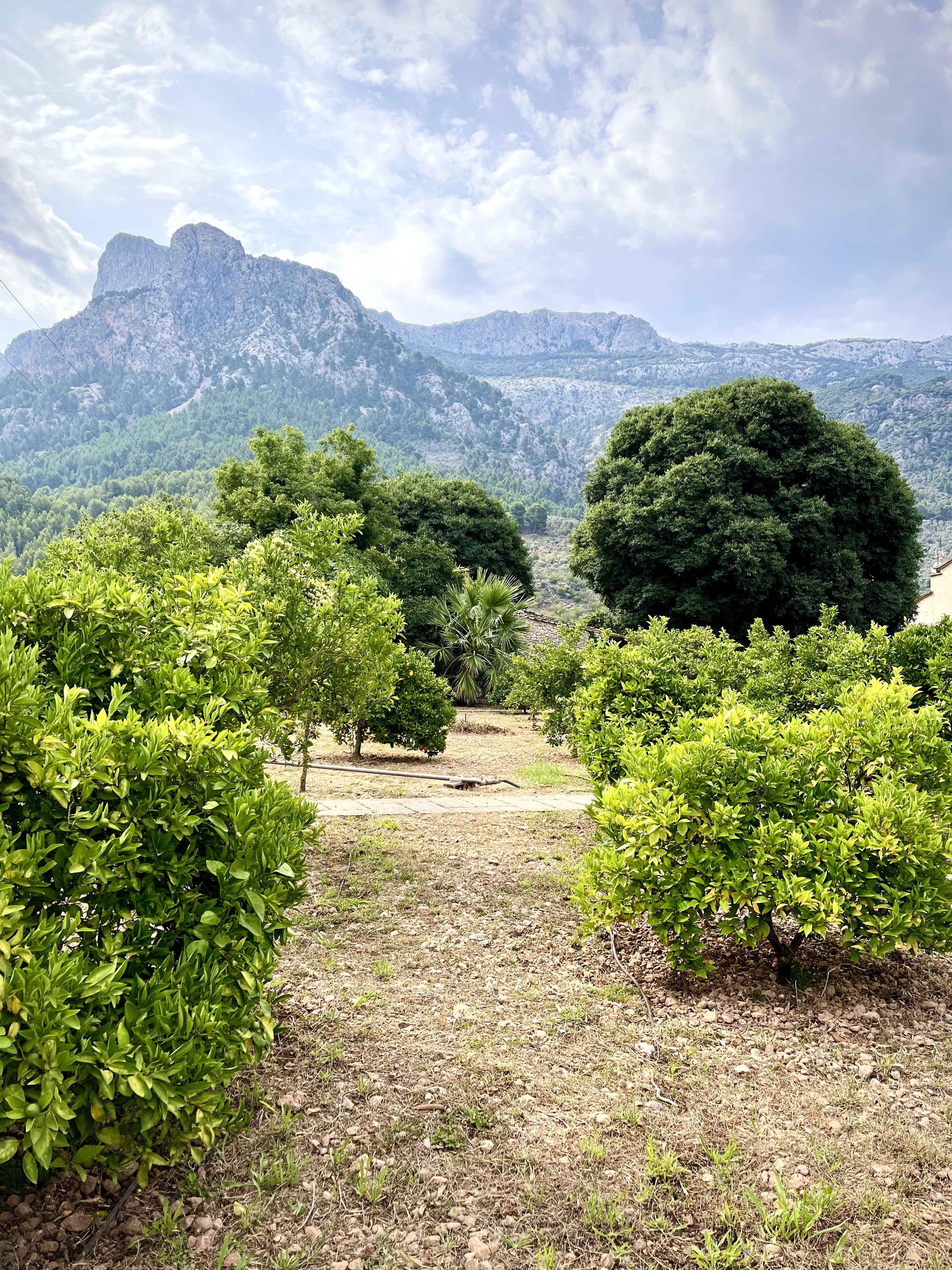 Abstract visualization of AI models applied to detector data