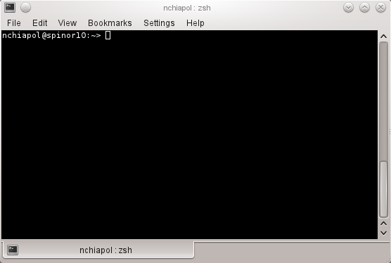 Das Terminal-Fenster mit Prompt